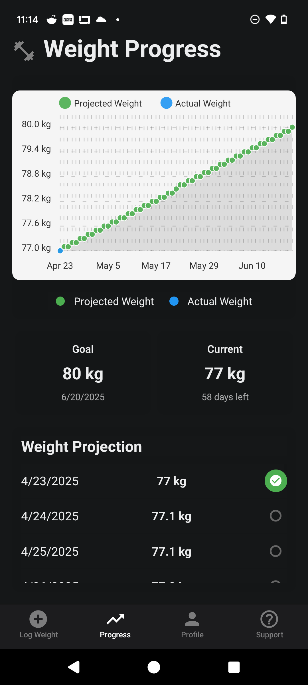 Scale Log thumbnail